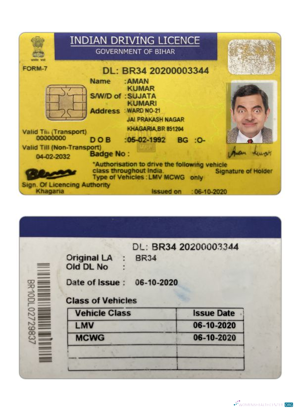 download India Bihar state driving license